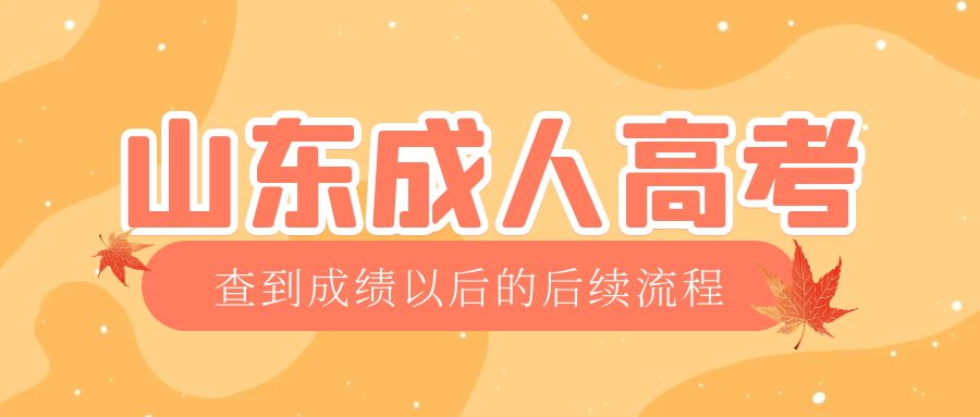 新泰成考查完成绩以后做什么，新泰成考网
